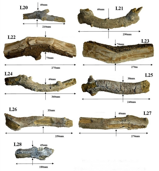 lenha-padrao-para-lareiras-a-gas-standard-log-shapes-ref-3 lenha-padrao-para-lareiras-a-gas-standard-log-shapes-ref-3
