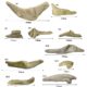 madeira-seca-para-lareiras-a-gas-driftwood-ref-1