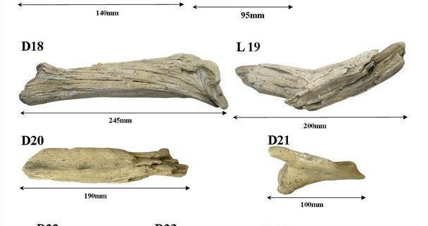 madeira-seca-para-lareiras-a-gas-driftwood-ref-3