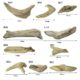 madeira-seca-para-lareiras-a-gas-driftwood-ref-3