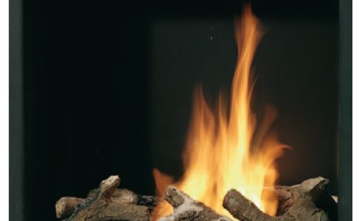 Bio_bro_2011.indd